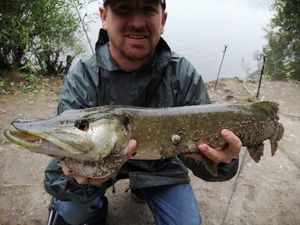 Northern Pike