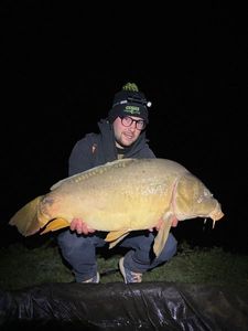 Mirror Carp
