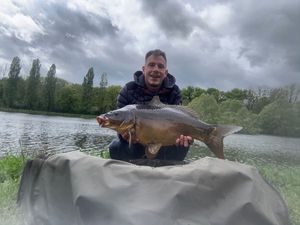 Mirror Carp