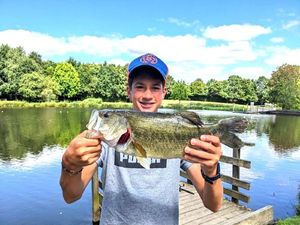 Largemouth Bass