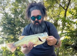 Largemouth Bass