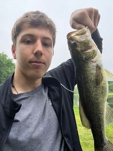 Smallmouth Bass