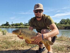 Common Carp