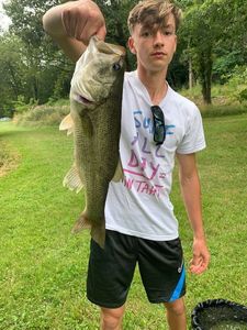 Largemouth Bass