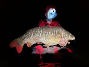 Mirror Carp