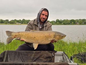 Grass Carp
