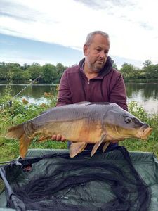 Mirror Carp