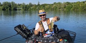 European Perch
