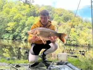 Common Carp