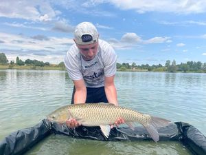 Grass Carp