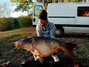 Mirror Carp