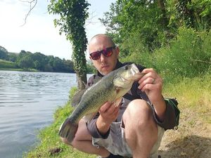 Largemouth Bass