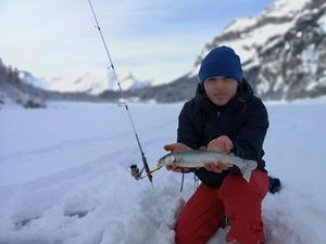 Arctic Char