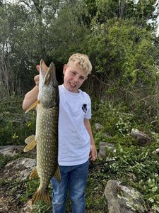 Northern Pike