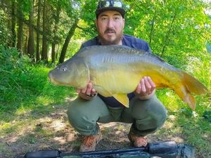 Mirror Carp