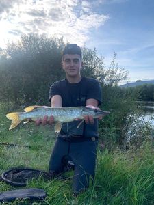 Northern Pike