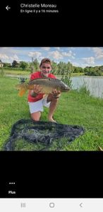 Mirror Carp