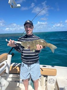 Bluespotted seabass