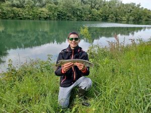 Northern Pike