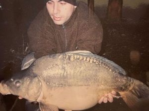 Mirror Carp