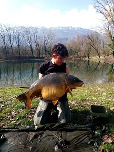 Mirror Carp