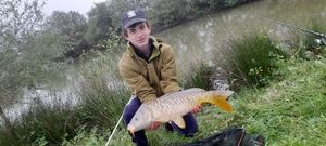 Mirror Carp