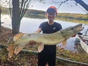 Northern Pike