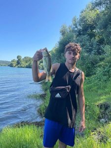 Largemouth Bass