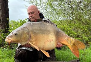 Mirror Carp