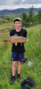 Common Carp