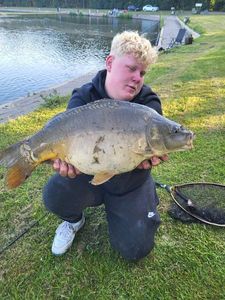 Common Carp