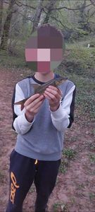 Barbel