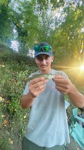 Smallmouth Bass