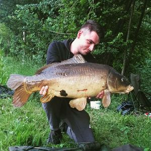 Mirror Carp