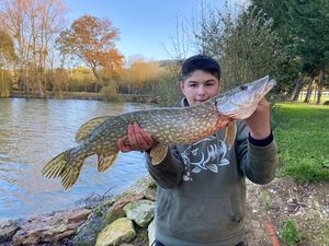 Northern Pike