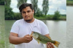 Smallmouth Bass