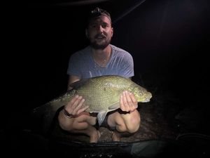 Common Bream