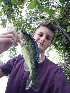 Largemouth Bass