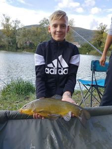 Tench