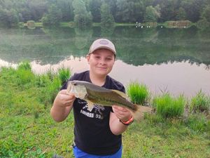 Smallmouth Bass