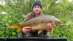 Mirror Carp
