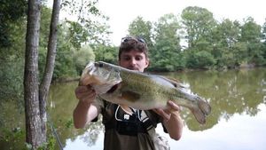 Largemouth Bass