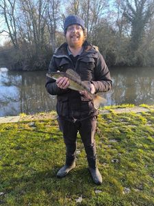 Zander