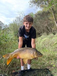 Mirror Carp