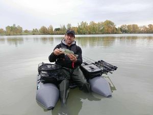 Largemouth Bass