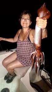 European Squid