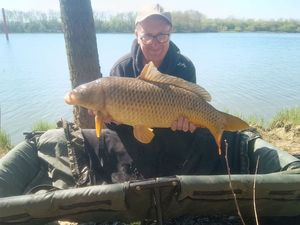 Common Carp
