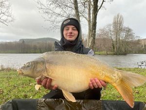 Mirror Carp