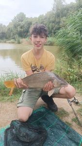 Mirror Carp