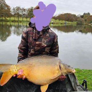 Mirror Carp